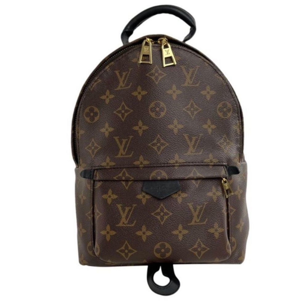 Louis Vuitton Monogram Palm Springs PM backpack